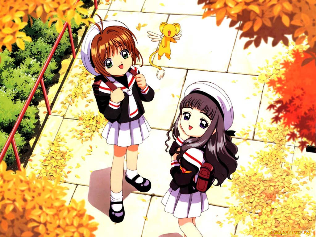 , card, captor, sakura